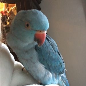 Meet your Posher, Karen